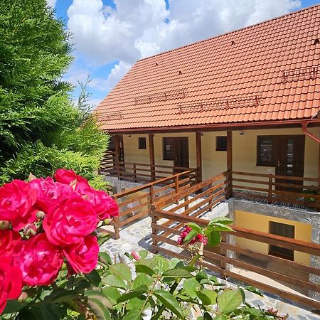 Matei Residence Braşov Buitenkant foto