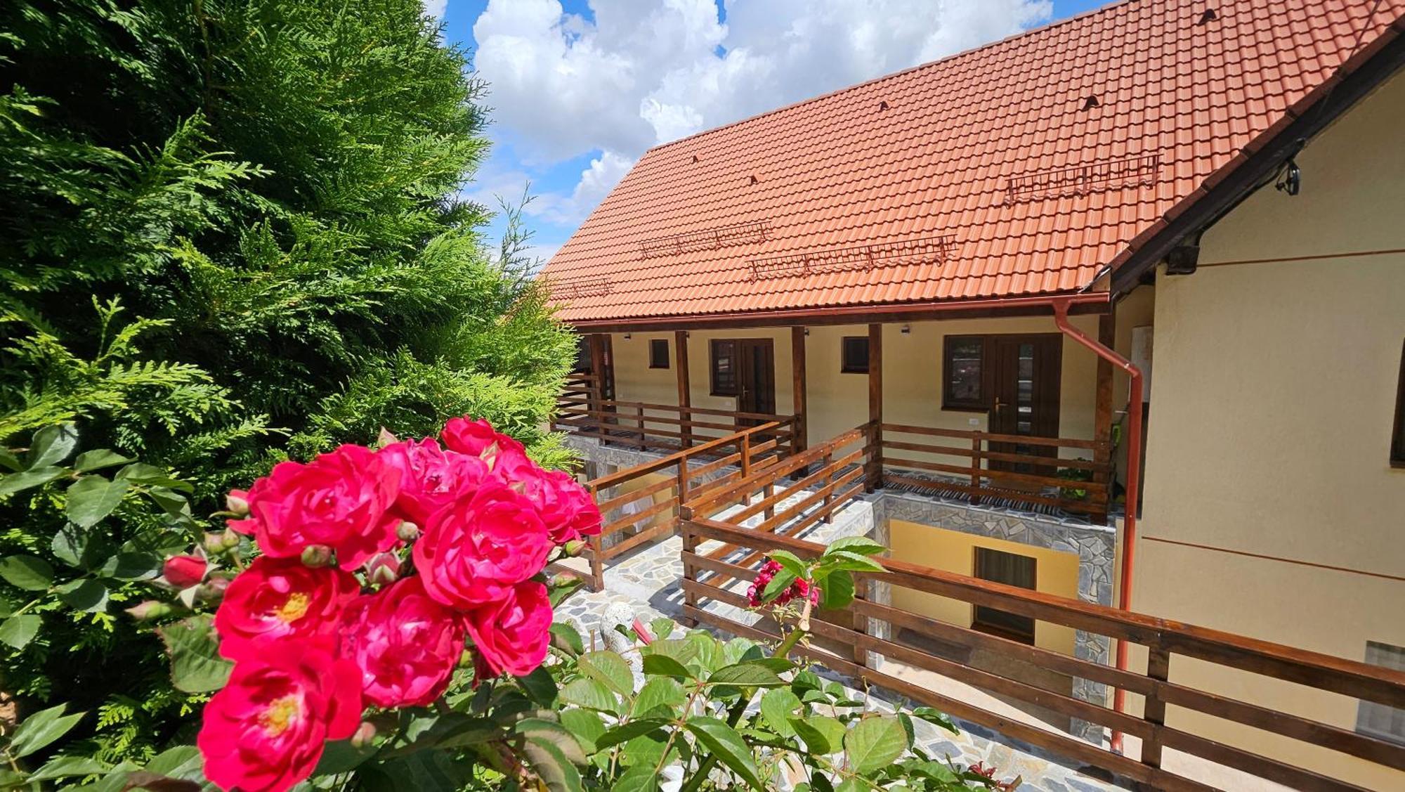 Matei Residence Braşov Buitenkant foto