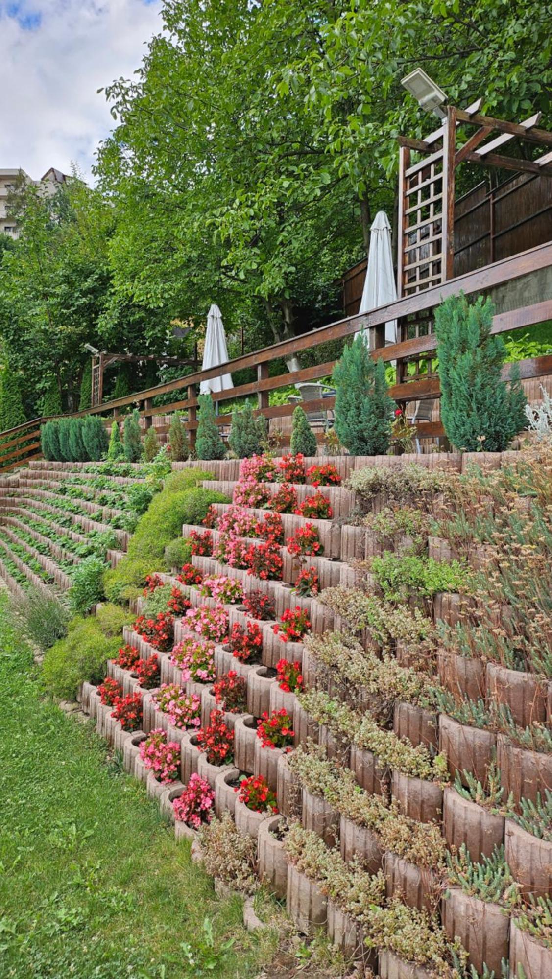 Matei Residence Braşov Buitenkant foto