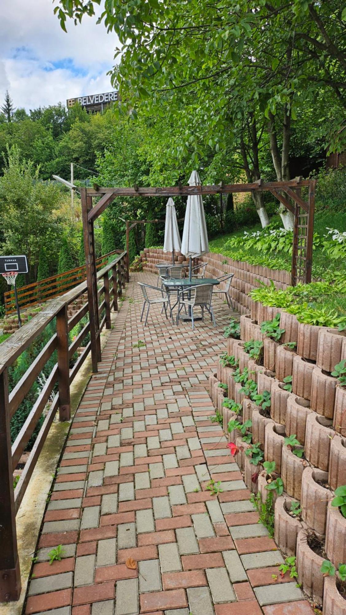Matei Residence Braşov Buitenkant foto